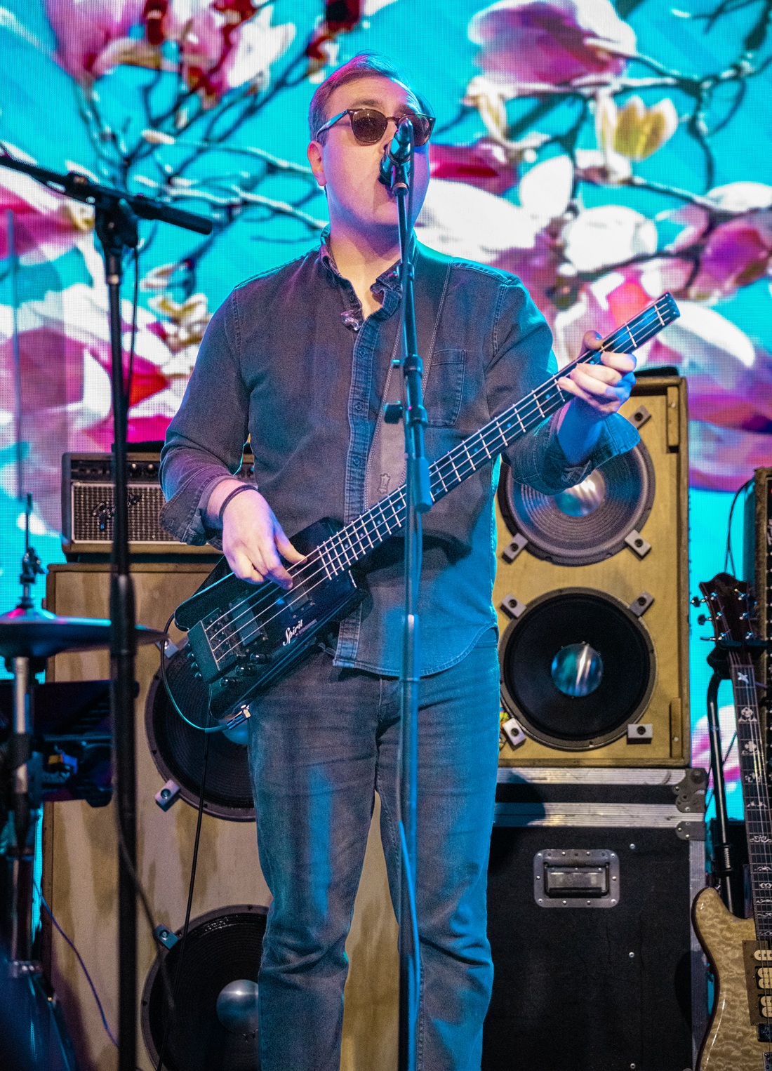 David Alderman Bass - Grateful Web