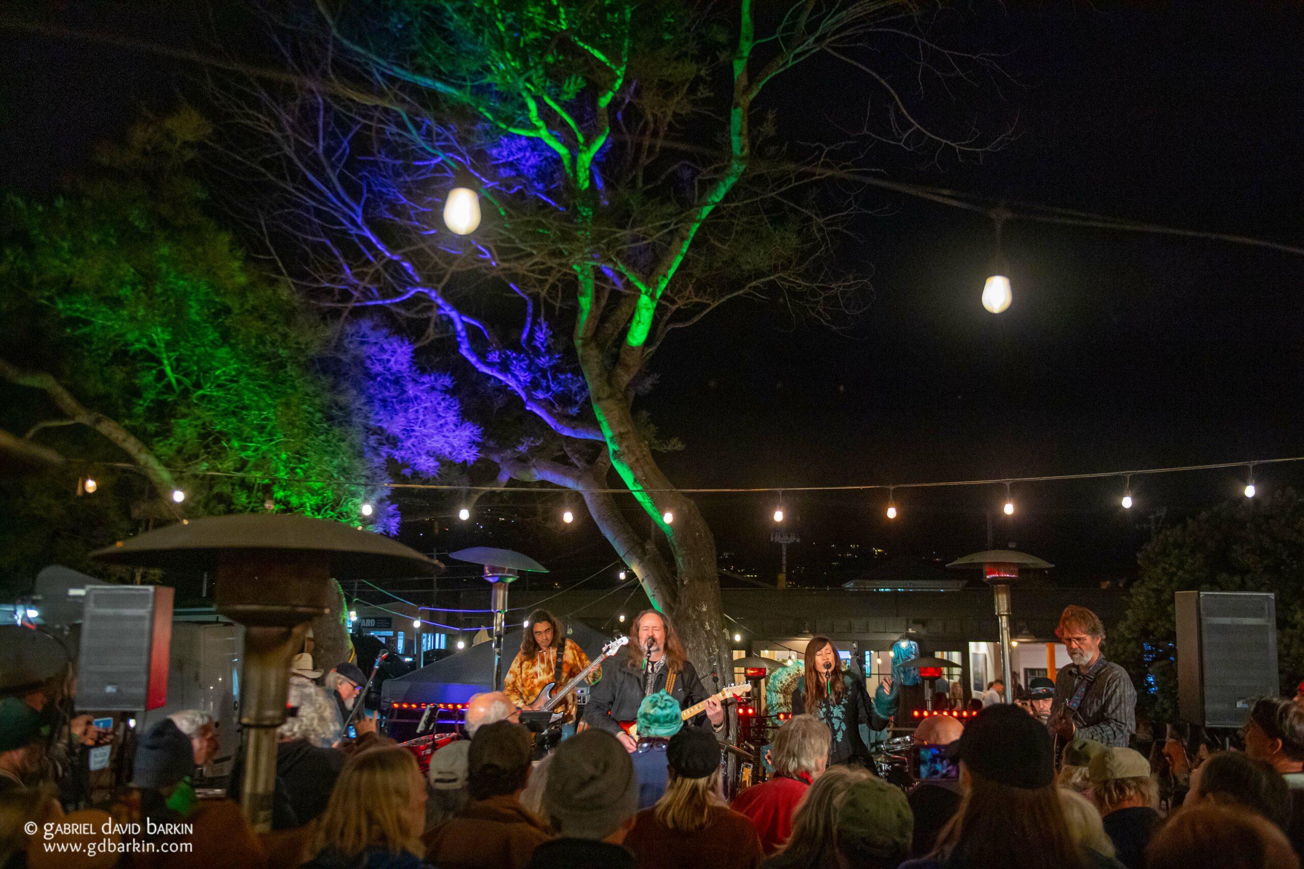 Gabriel David Barkin Photos - Grateful Web