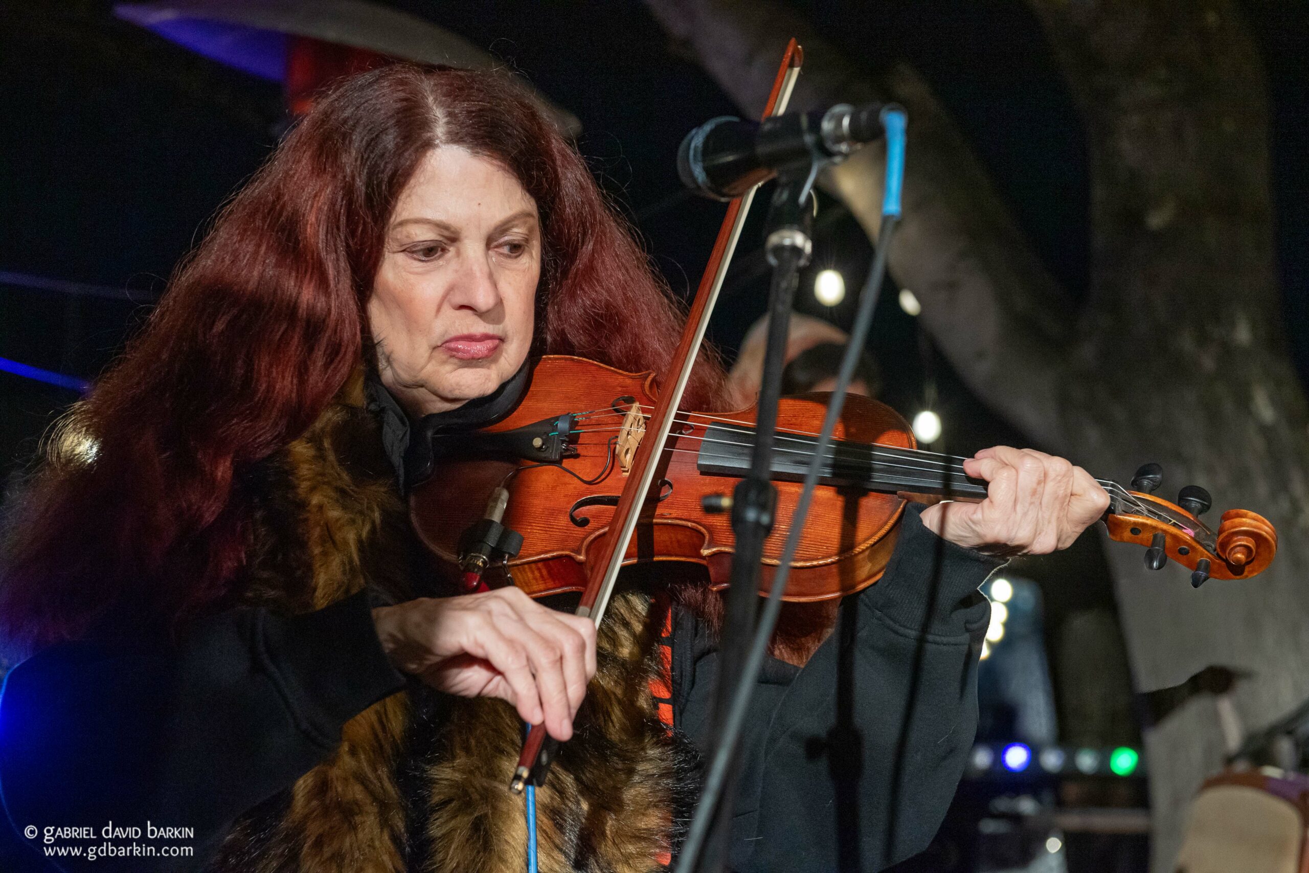 Gabriel David Barkin Photos - Grateful Web