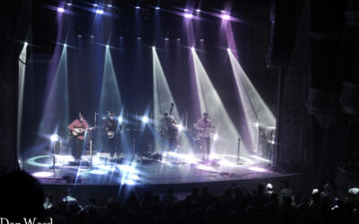 Not Your Grandfather’s Bluegrass — Kitchen Dwellers & Them Coulee Boys in Pilsen