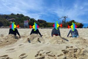 From Beats to Video Games: CVCHE’s ‘Private Volcano’ Drops November 21