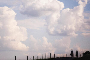 Tyler Ramsey & Carl Broemel Drop New Songs, Reveal Celestun Tour Dates for 2026