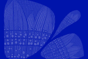 Kronos Quartet sets new album Forgive Us For 12/5