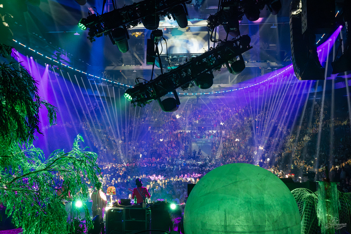 Goose | Amica Mutual Center