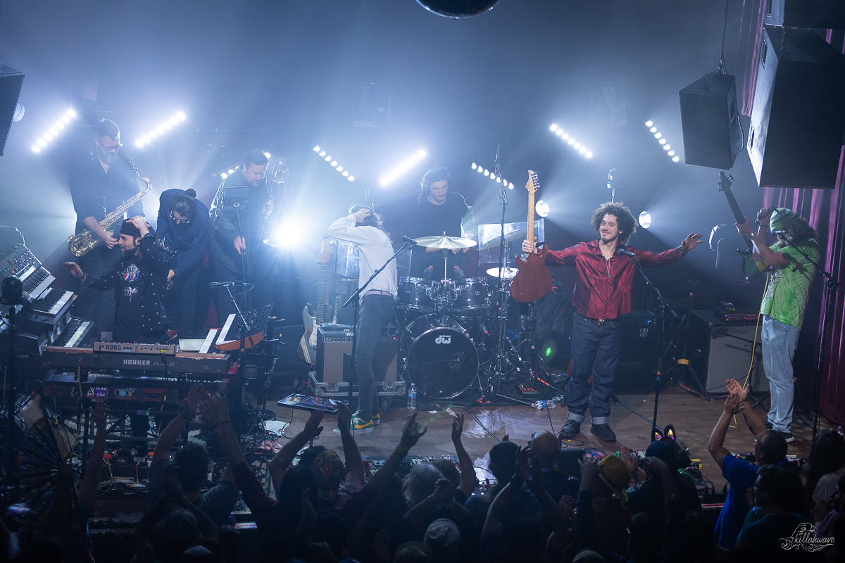 Dogs in a Pile | Ardmore Music Hall