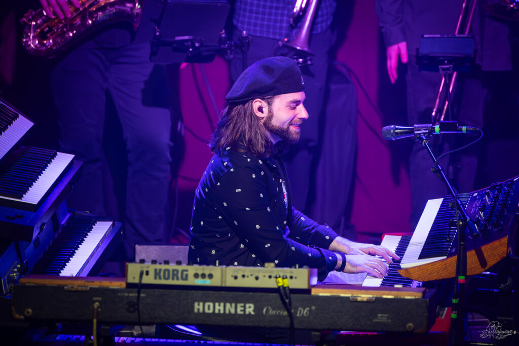 Jeremy Kaplan | Dogs in a Pile