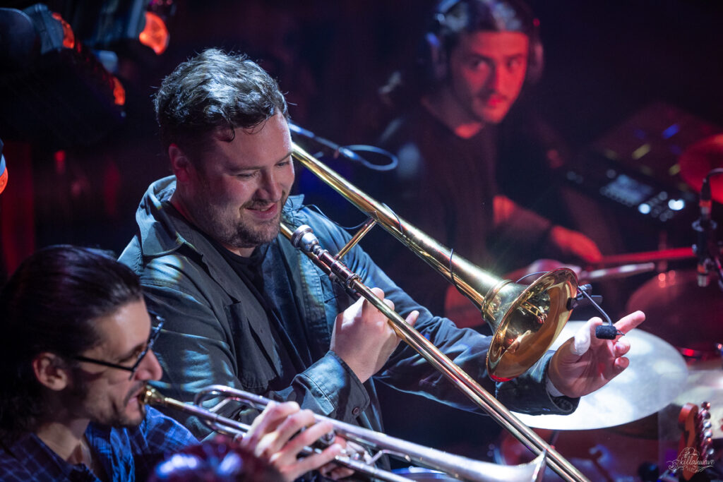 Dogs in a Pile | Ardmore Music Hall