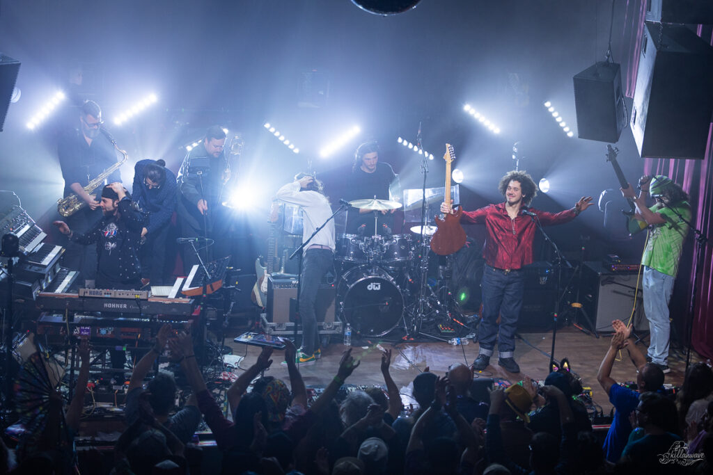 Dogs in a Pile | Ardmore Music Hall