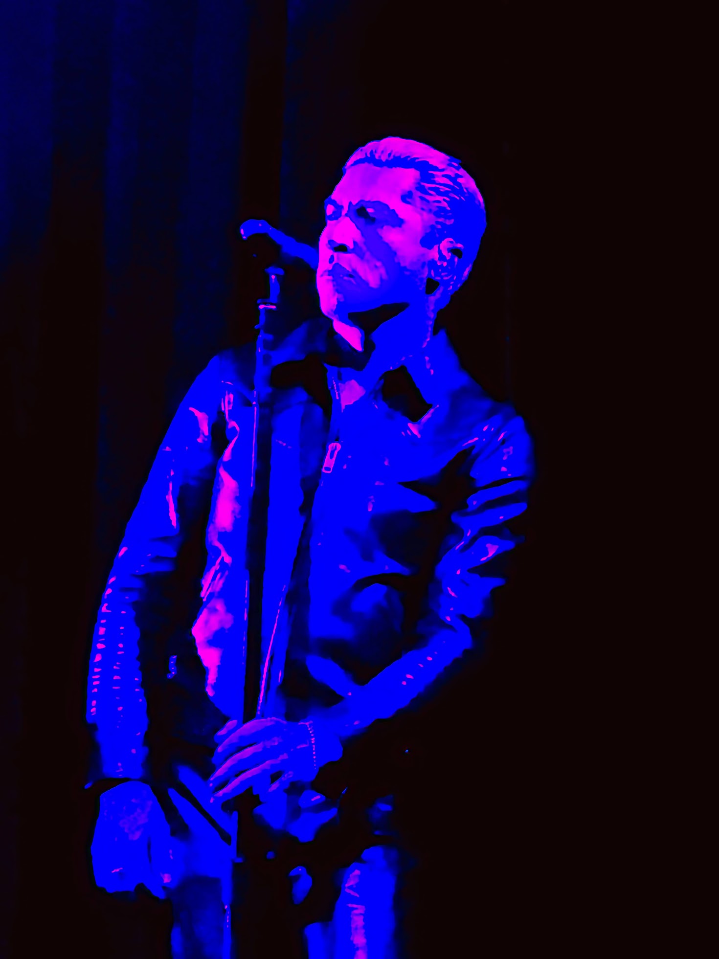 IMG_0793 - Grateful Web