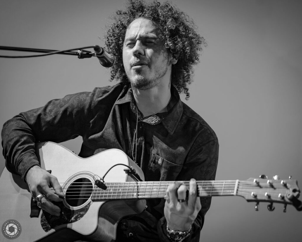 Murray's Law | Loft Story