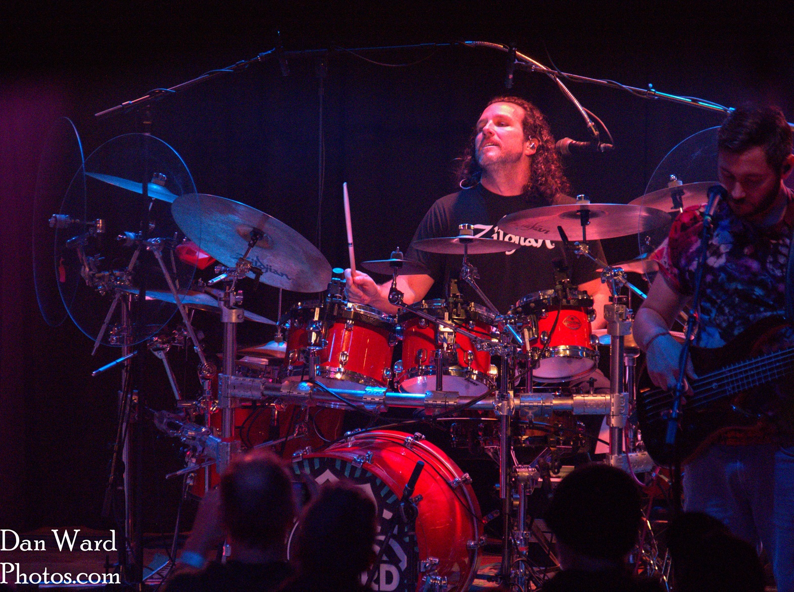 Spaford-126 - Grateful Web