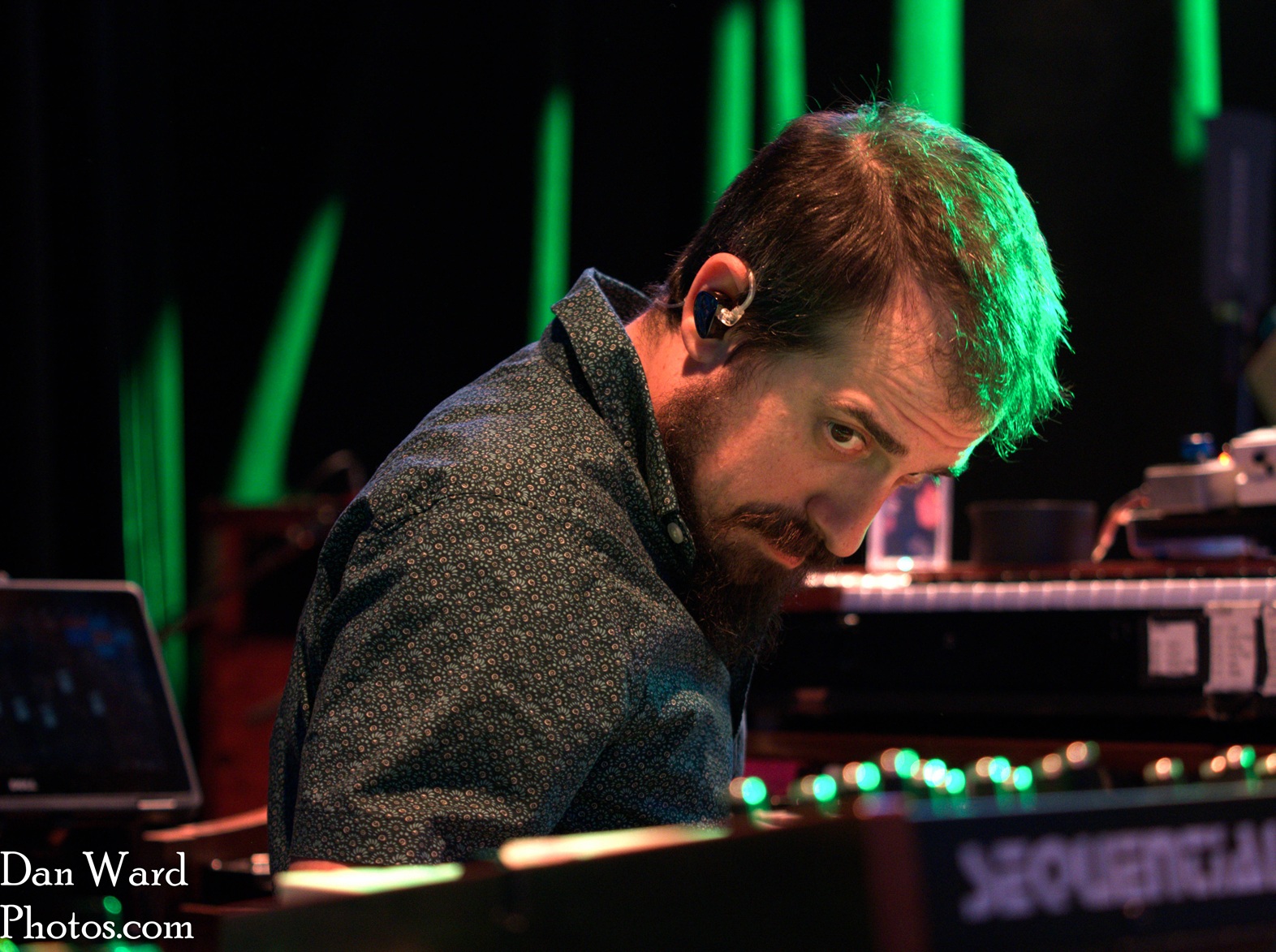 Spaford-29 - Grateful Web