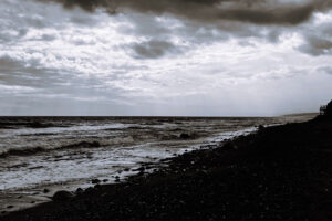 Jung Stratmann Quartet Release ‘This Wine Tastes Very Dry’